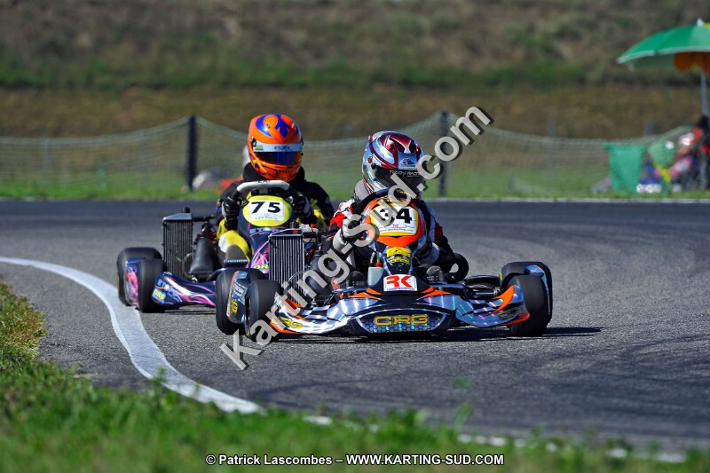 DSC_ (1611).jpg